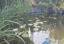 Program „Moja Woda”