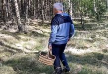 Grzybiarz zgubił się w lesie. Odnaleźli go policjanci