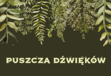 Puszcza dźwięków – animacje